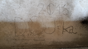 dojka